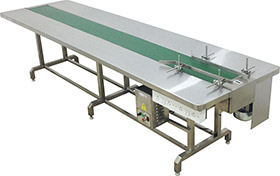 Packing Line Conveyor